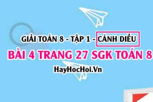 Giải bài 4 trang 27 Toán 8 Tập 1 SGK Cánh Diều
